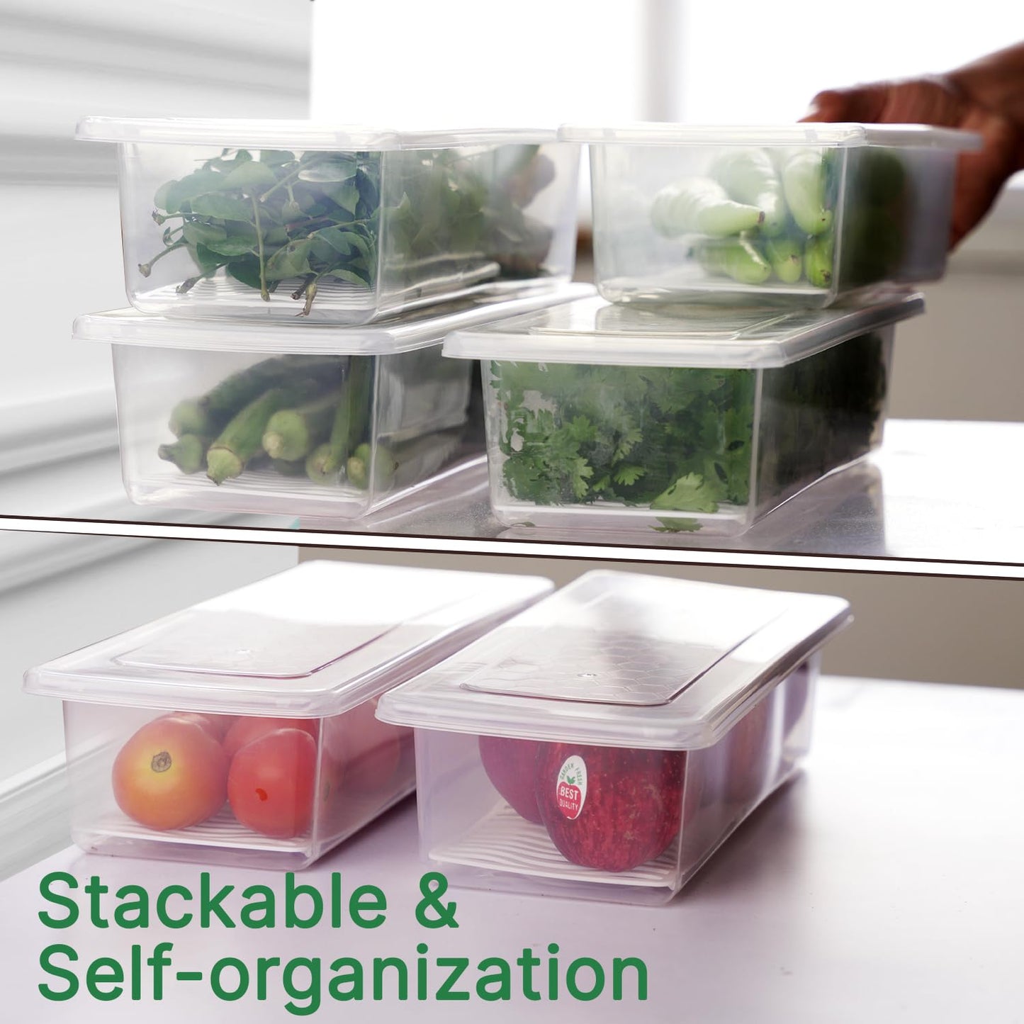 6-Set Fridge Storage Containers with Removable Drain Plate